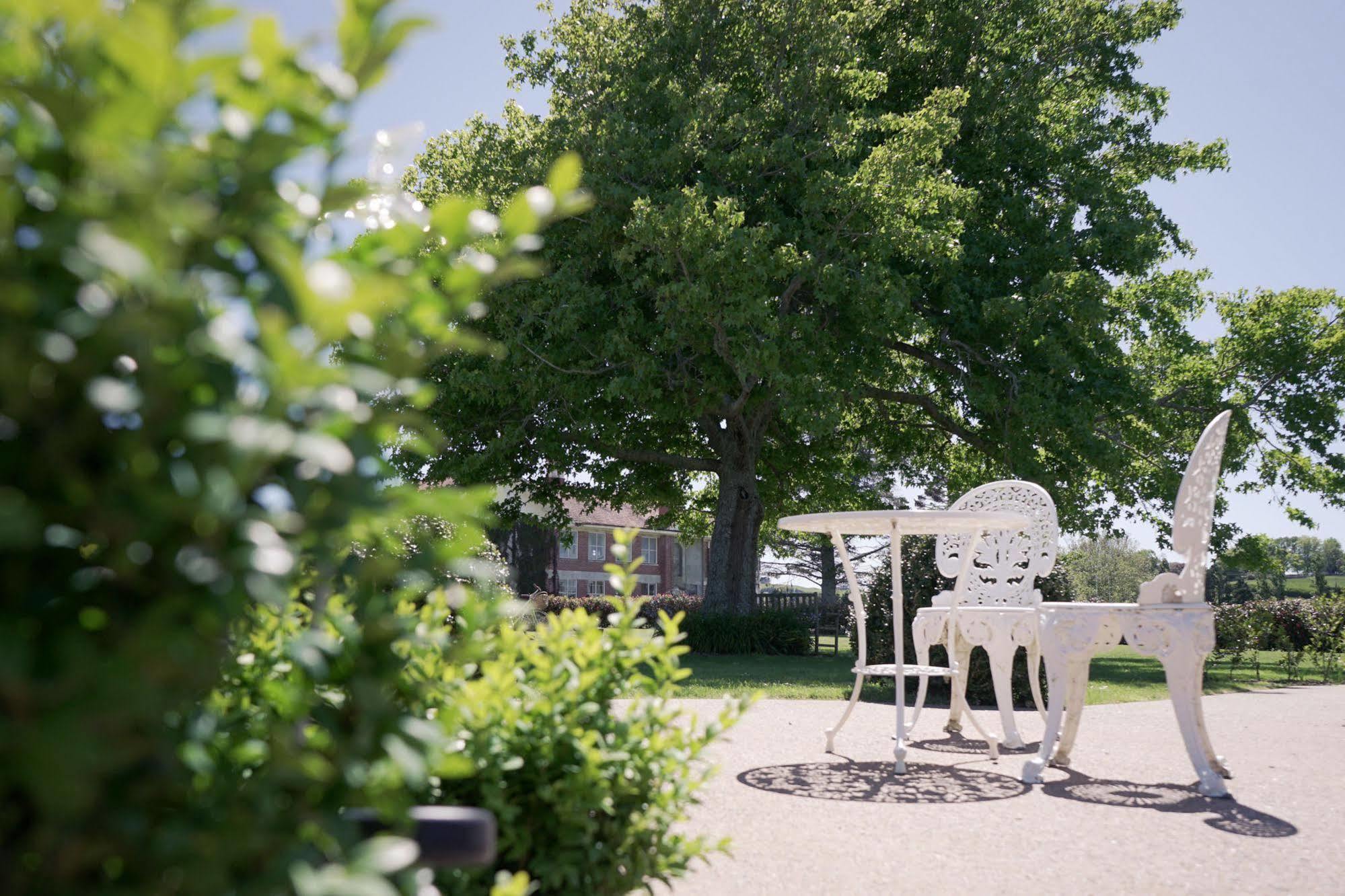 Гостьовий будинок Lavalla Estate Tuakau Екстер'єр фото